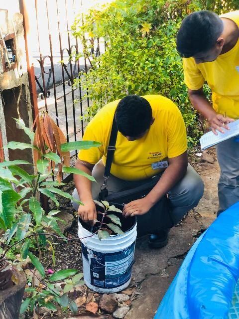 Prevención y combate contra el mosquito transmisor del dengue en Posadas. (M. de SAlud)