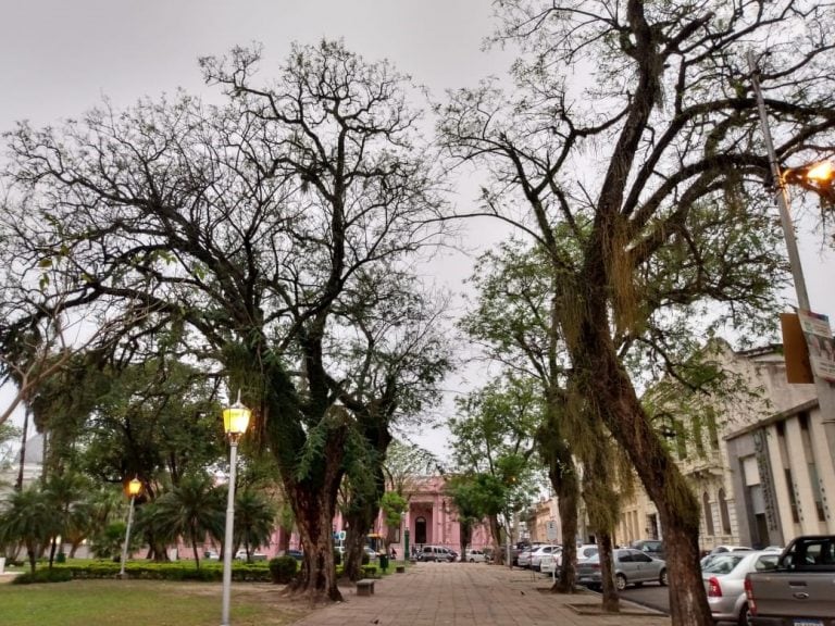 Viernes agradable en Corrientes.