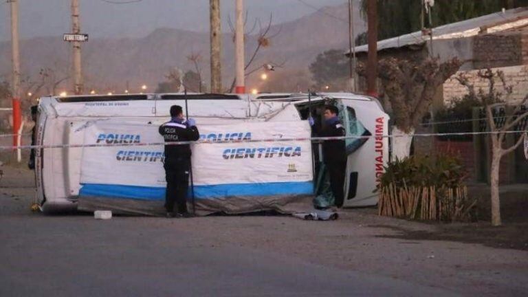 Picada fatal en San Juan.