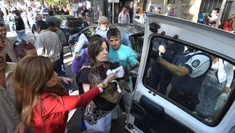 Perro lastimado en manifestación.