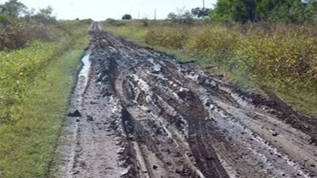 Es dramática la situación en tambos entrerrianos tras las intensas lluvias