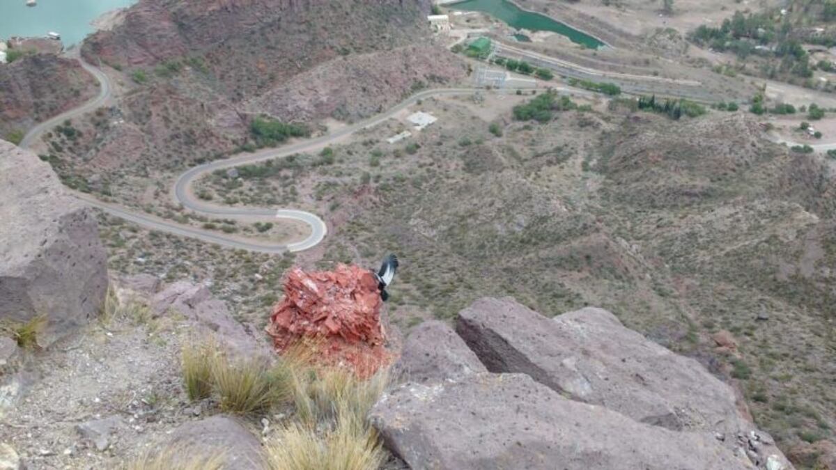 Pidió ayuda porque creyó que el novio había caído de un cerro y cuando fueron a rescatarlo no lo podían creer