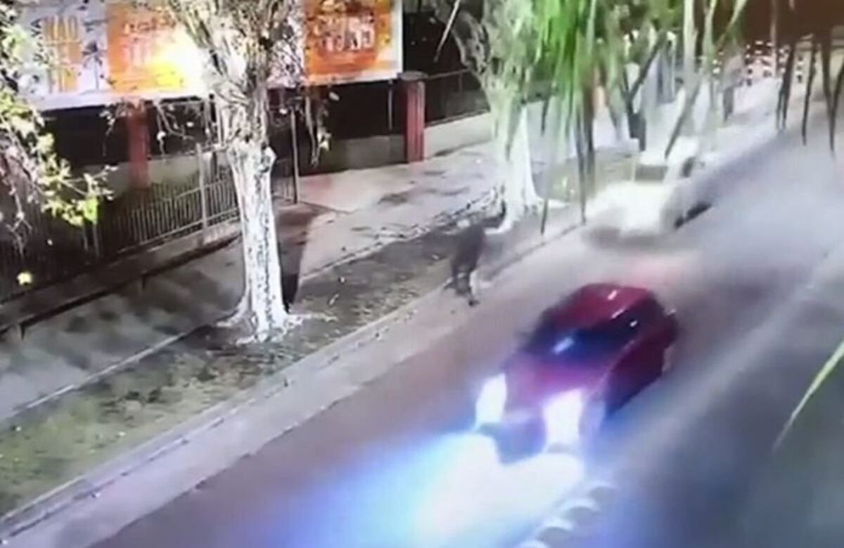 Está grave el ciclista atropellado por un conductor borracho en Villa del Parque
