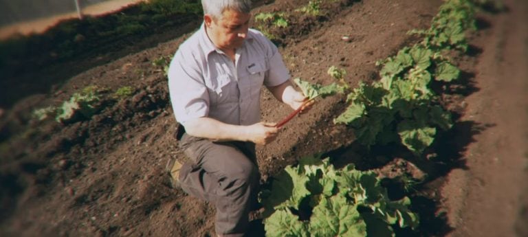 Documental "Oficios del Fin del Mundo"