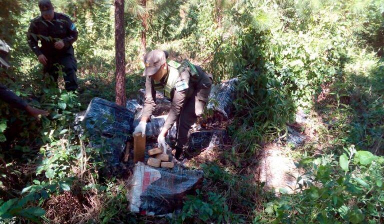 Hallaron casi una tonelada de marihuana abandonada en una zona selvática de Misiones. (Foto: Gendarmería)