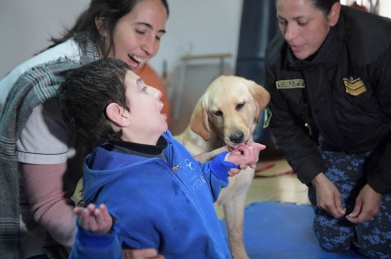 Lola y Zoe, las perritas de la División Canes de la Policía que ayudan en su terapia a chicos con discapacidad. (Prensa Gobierno)