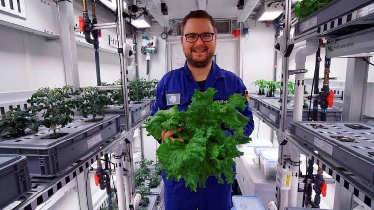 Gabinete de cultivo hidropónico