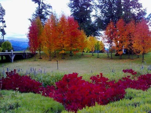 La belleza de Esquel