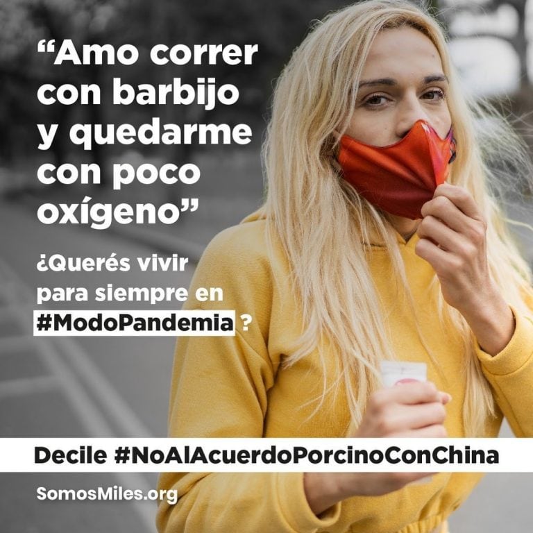 #ModoPandemia: la iniciativa que busca frenar el acuerdo porcino con China que promueven los famosos (Foto: Instagram @somosmilesorg)