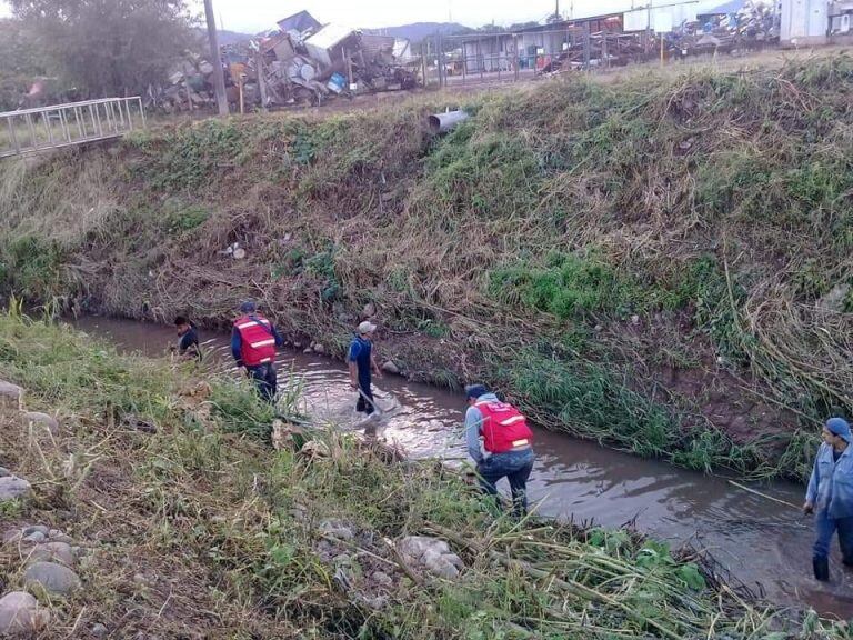 Minuciosa búsqueda llevan adelante los rescatistas y voluntarios en los canales.