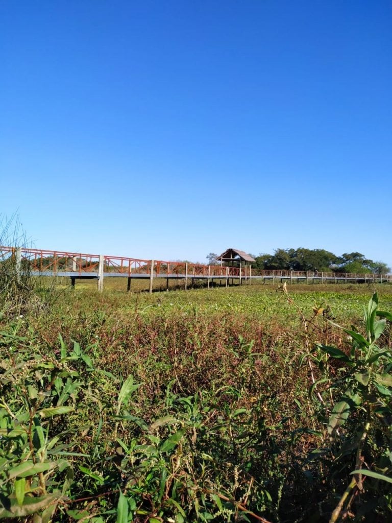 Vía Rosario cruzó la isla y transmitió en vivo desde la reserva Los Tres Cerros