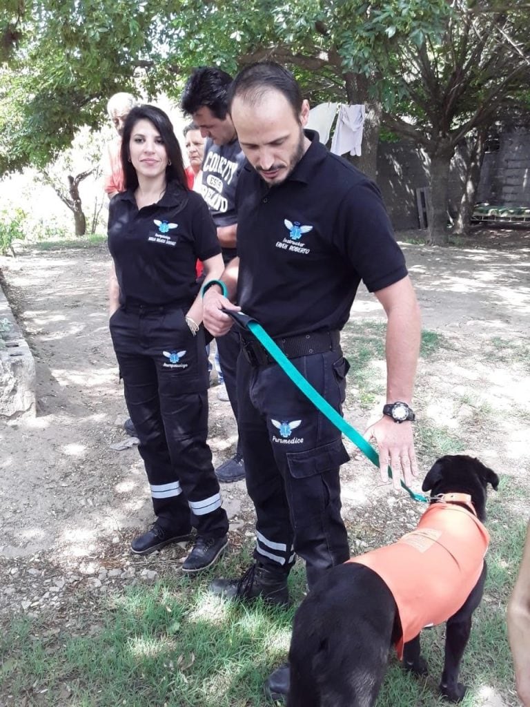 Talleres de educación canina