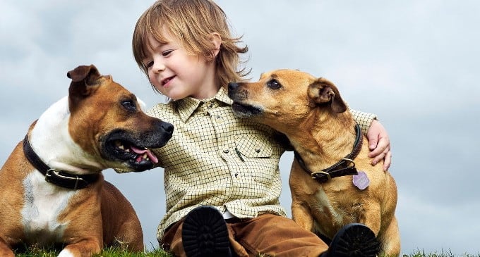 Cuidado de mascotas y tendencia responsable.