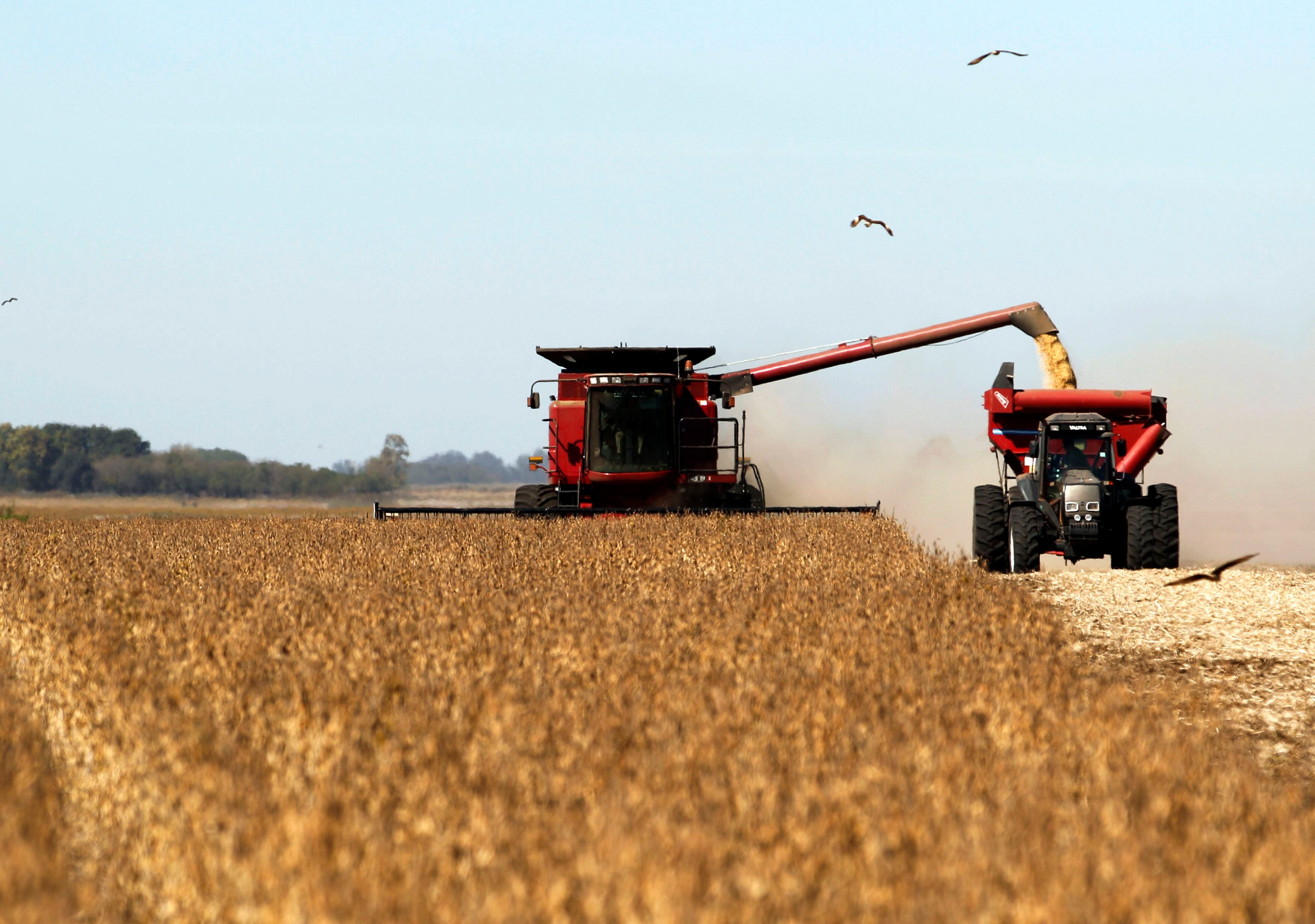 La suba de las tasas de interés que propone Estados Unidos repercute de lleno en la venta de los commodities de la Argentina.