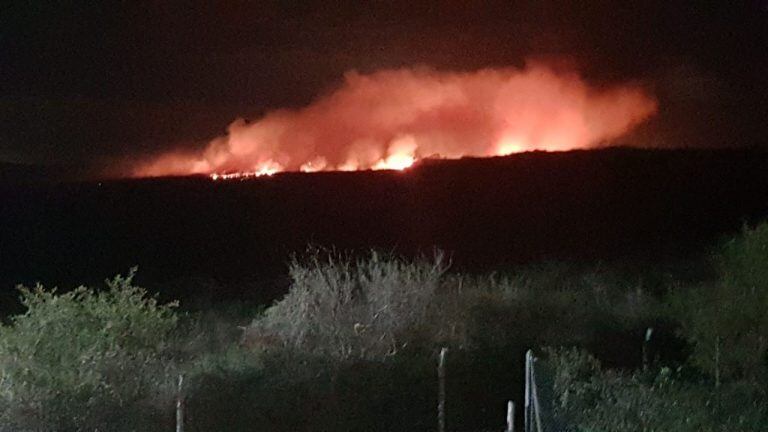 La Calera: el frente del incendio se extiende debido a la acción del viento.