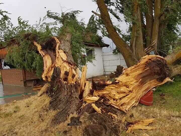 Temporal de viento y lluvia