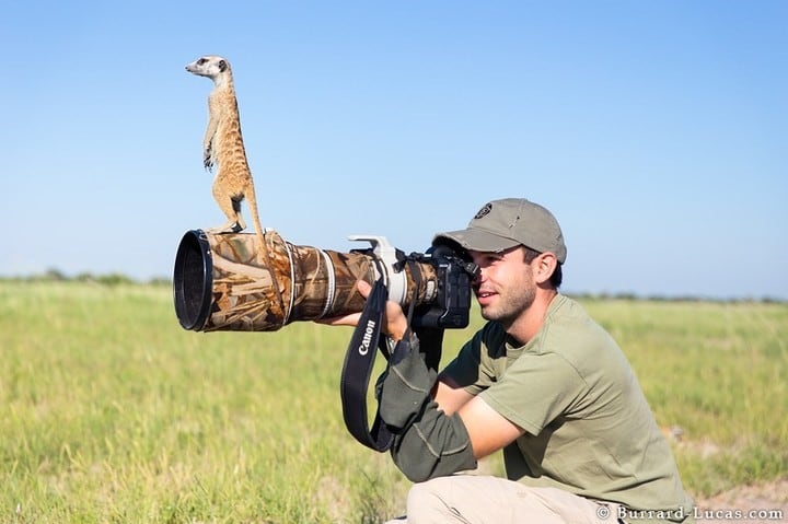 Will Burrard-Lucas.