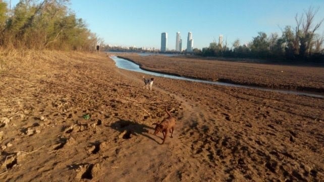 El río subió unos centímetros, pero sigue muy bajo (Vía Rosario)