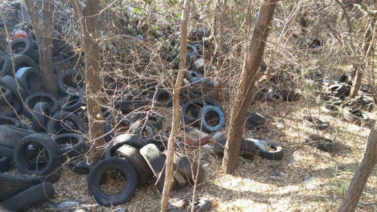 Más de 30 "microbasurales clandestinos"  en Carlos Paz. (Foto: prensa municipal).