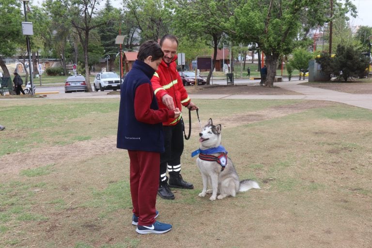 Educación canina en Carlos Paz