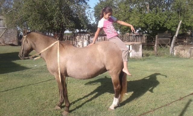 Victoria Rovetto, con 12 años, es amansadora de caballos en General Cabrera, Córdoba, y su técnica es furor en cada encuentro de animales de este tipo en el interior.