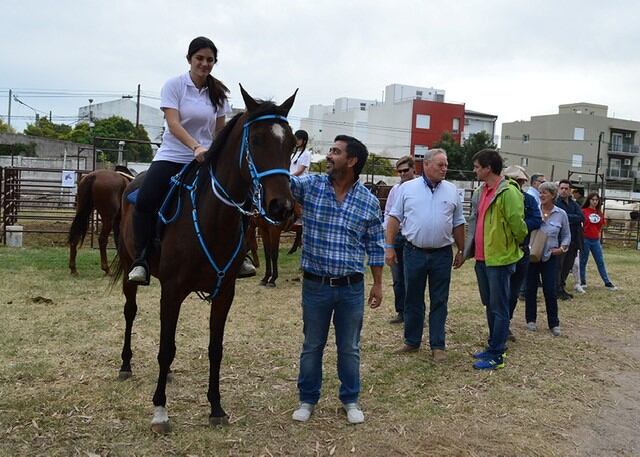 La Exposición Provincial del Caballo reunió a una buena cantidad de público (Municipalidad de Santa Rosa)