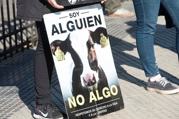 Protesta de activistas veganos en el exterior de La Rural (Foto: Rolando Andrade Stracuzzi).