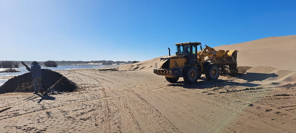 encuentran montículos de arena sosteniendo pilotes en una zona protegida de la albufera