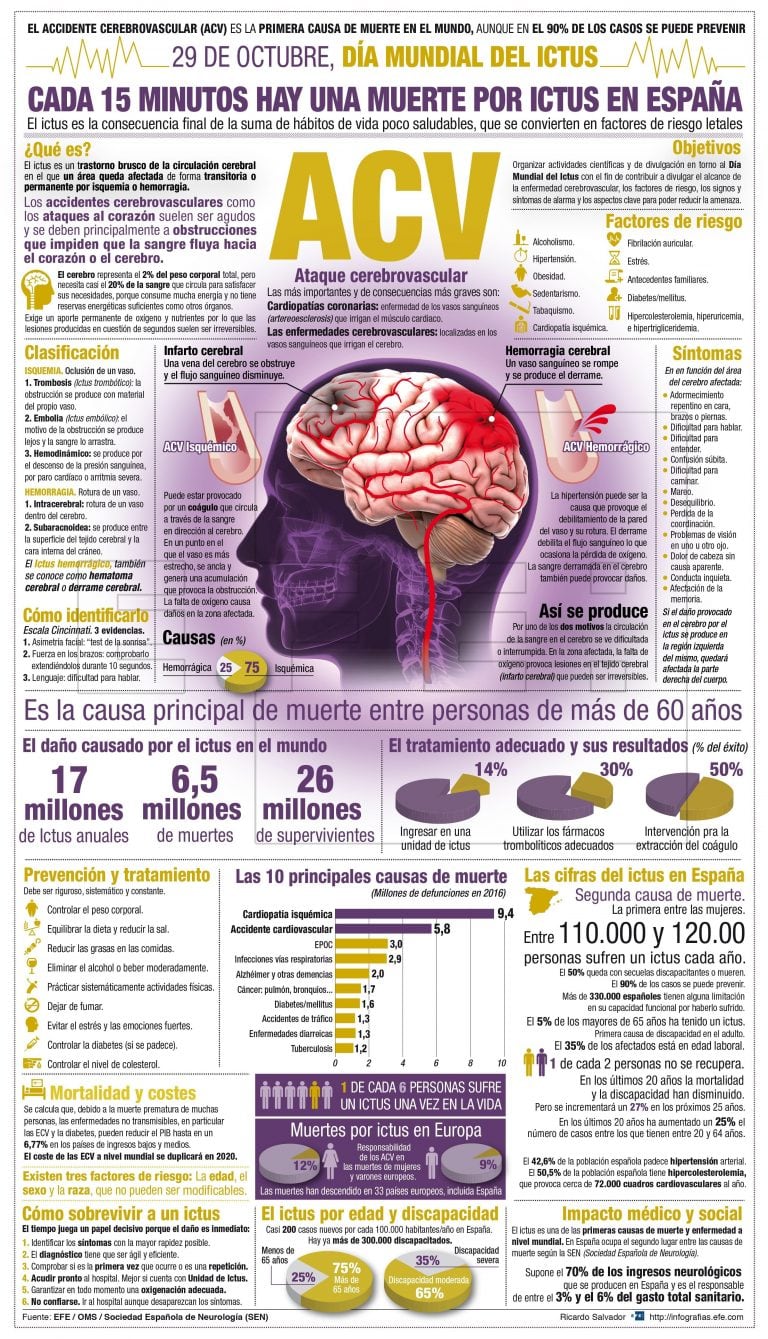 GRAF5649. MADRID (ESPAÑA), 26/10/2018.- Detalle de la infografía de la Agencia EFE "Día del Ictus", disponible en http://infografias.efe.com   dia mundial del ictus acv