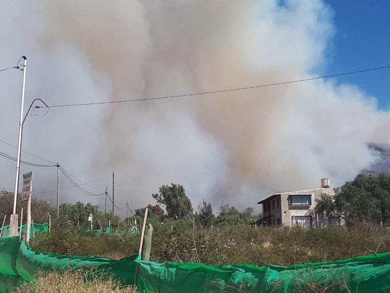 Incendio en el Cerro Arco