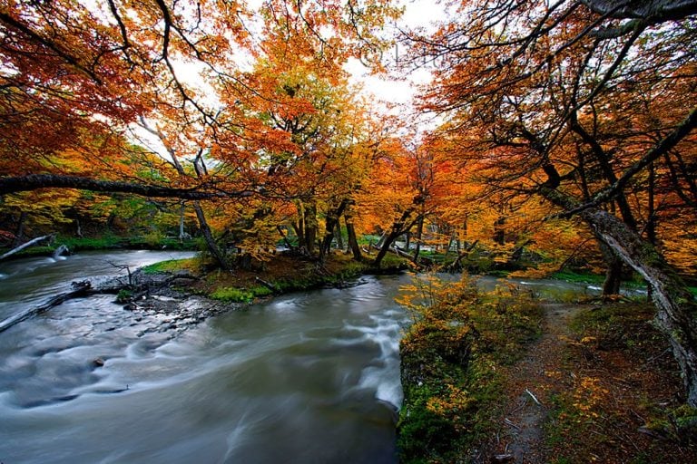 Otoño Ushuaia