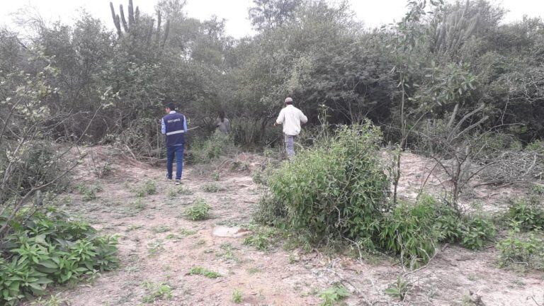 Técnicos de recorrida por el Monte Impenetrable.