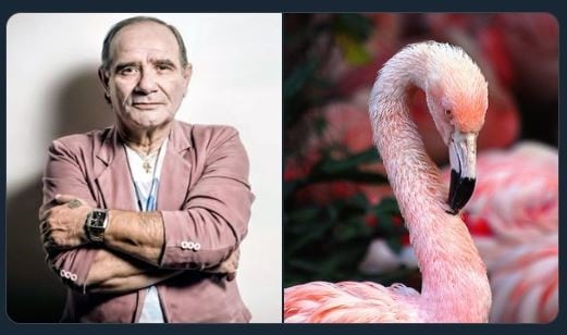 Juan Pablo "Banana" Mascheroni de "Los del Fuego"  uno de los comparados con pájaros (Foto: Twitter)