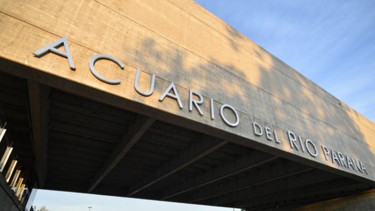 Se readecuó el Acuario para la carga de datos de coronavirus