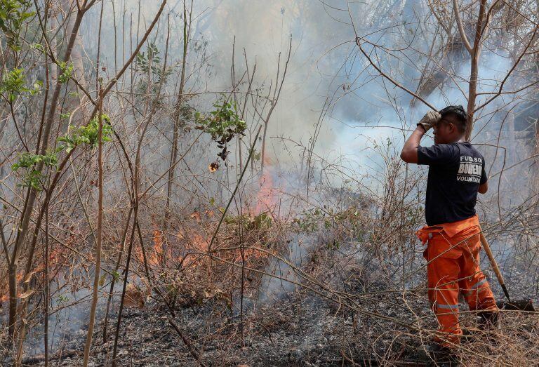 Un incendio en la foresta de la comunidad de Palestina, una zona castigada por incendios desde hace semanas, en Chiquitania (Bolivia). Una solución "del cielo", una lluvia fuerte, es ya lo único que podría detener los incendios en Bolivia, según manifestó a Efe Carlos Sarmiento, experto colombiano que asesora a las autoridades bolivianas y que advierte deficiencias para afrontar esta catástrofe ambiental que sumará al calentamiento del planeta. EFE/Martín Alipaz