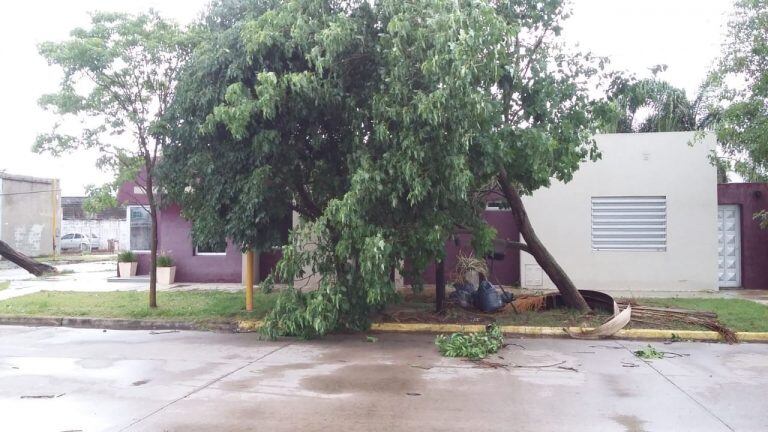 Tormenta en Córdoba dejó destrozos en distintas localidades.