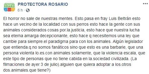 El perro murió ahorcado en la vivienda de Beltrán. (Protectora Rosario)