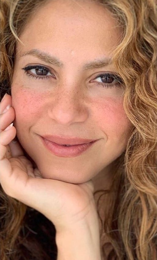 Shakira compartió una postal tomada por su hijo menor y enterneció a todos (Foto: Instagram)