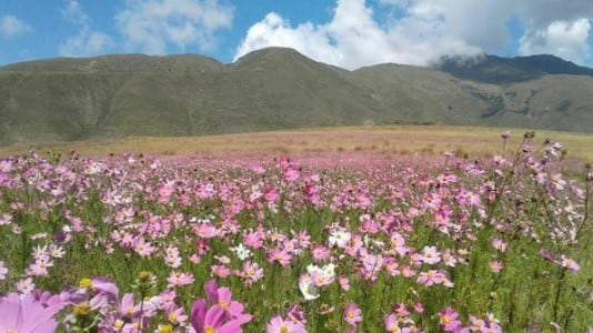 El Mollar, Tucumán. (Vía País)