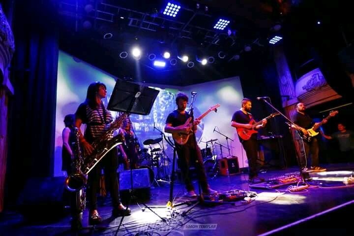 Animals, la banda tributo a Pink Floyd interpretará The Wall\u002E