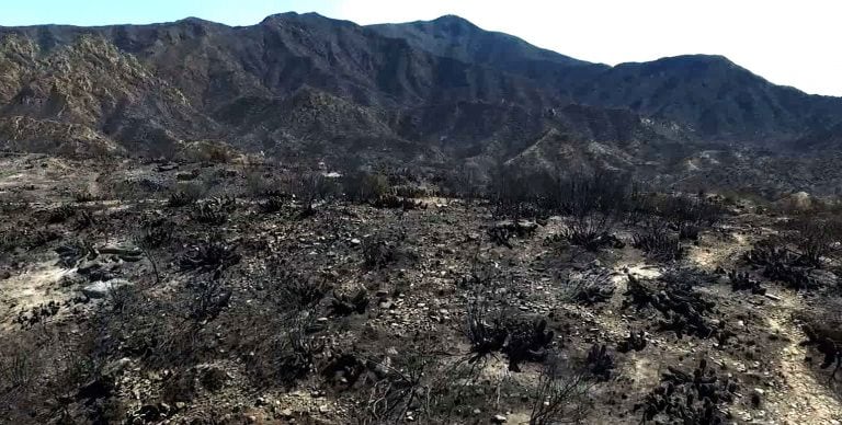 Son tres cerros damnificados: el Arco, el Gateado y el Vizcacha. El cerro Arco sufrió un daño superior al 80%..