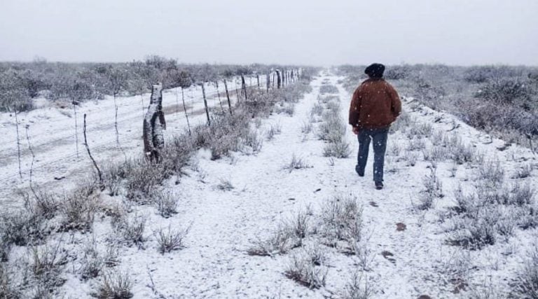 Nevadas en la zona rural de Puelén (Santiago Durán)