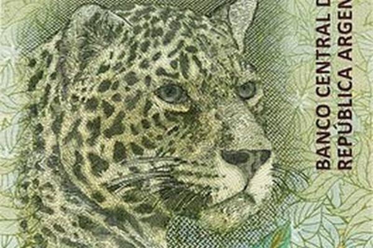 Información del billete de $500 es material pedagógico en Jujuy