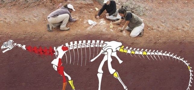 Ingentia y otra especie de Sudáfrica forman parte de una nueva familia de dinosaurios a la que se llama "Lessemsauridae".