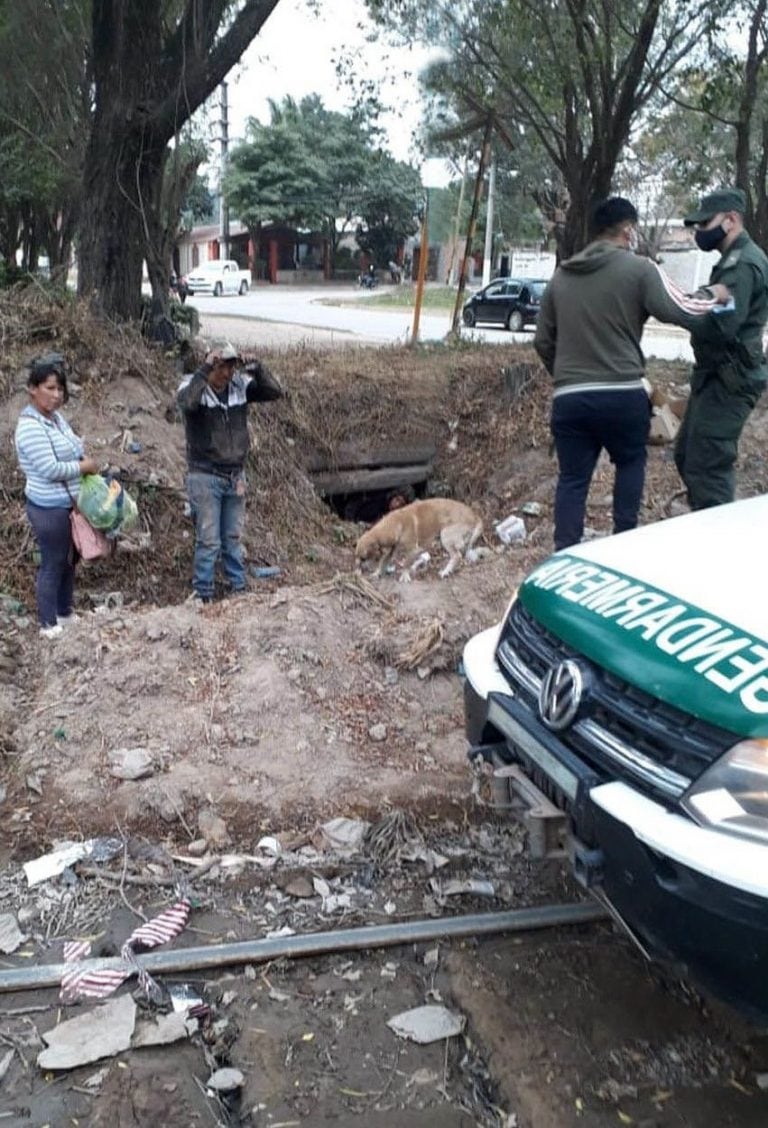 Frontera caliente: bolivianos trataron de ingresar al país por una alcantarilla. (El Tribuno)