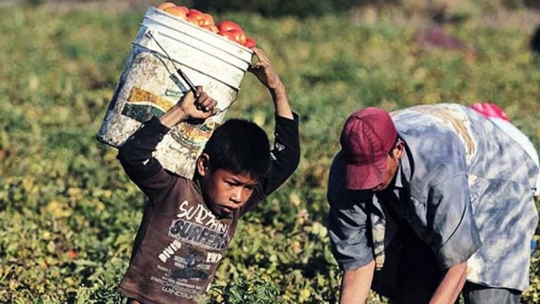 12 de Junio: Dia Mundial contra el Trabajo Infantil