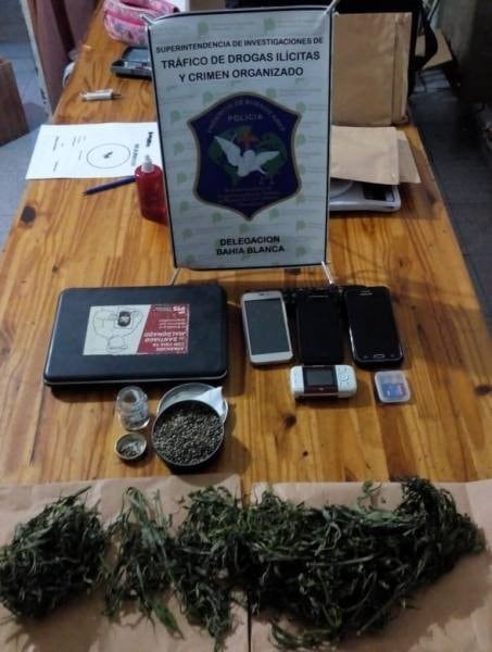 Secuestraron plantas de marihuana, semillas, celulares y computadoras