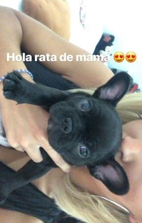 Sol Pérez y un video con su cachorrita que ¡terminó mal!