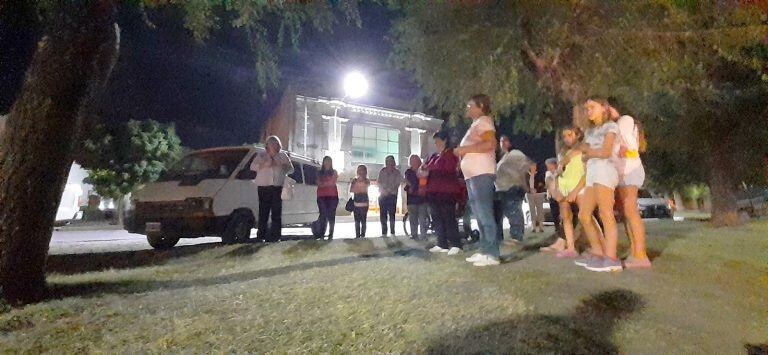 Apareció una imagen de la virgen en el tronco de un árbol