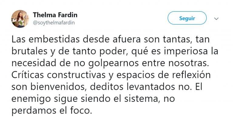 El mensaje con el que Thelma Fardin intentó llamar la atención de sus congéneres y las llamó a la unión.